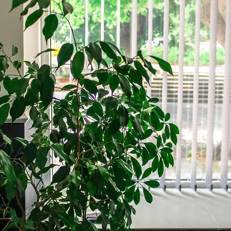 Laguna Terrace Kavarna