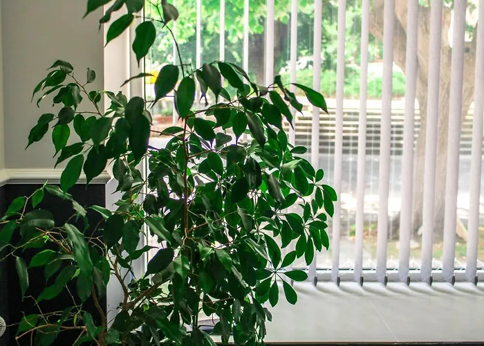 Laguna Terrace Kavarna